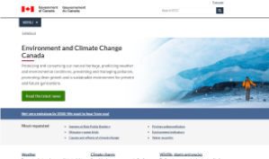 Trends/Insights